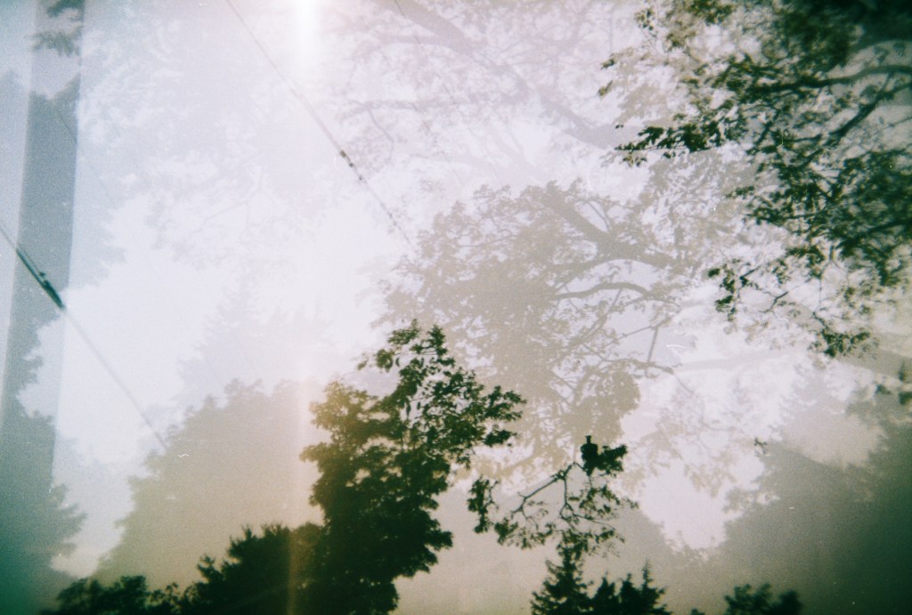 8085414_8085414-R1-E023